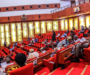 Senate to probe financial infractions by Agencies, vows sanctions against erring heads